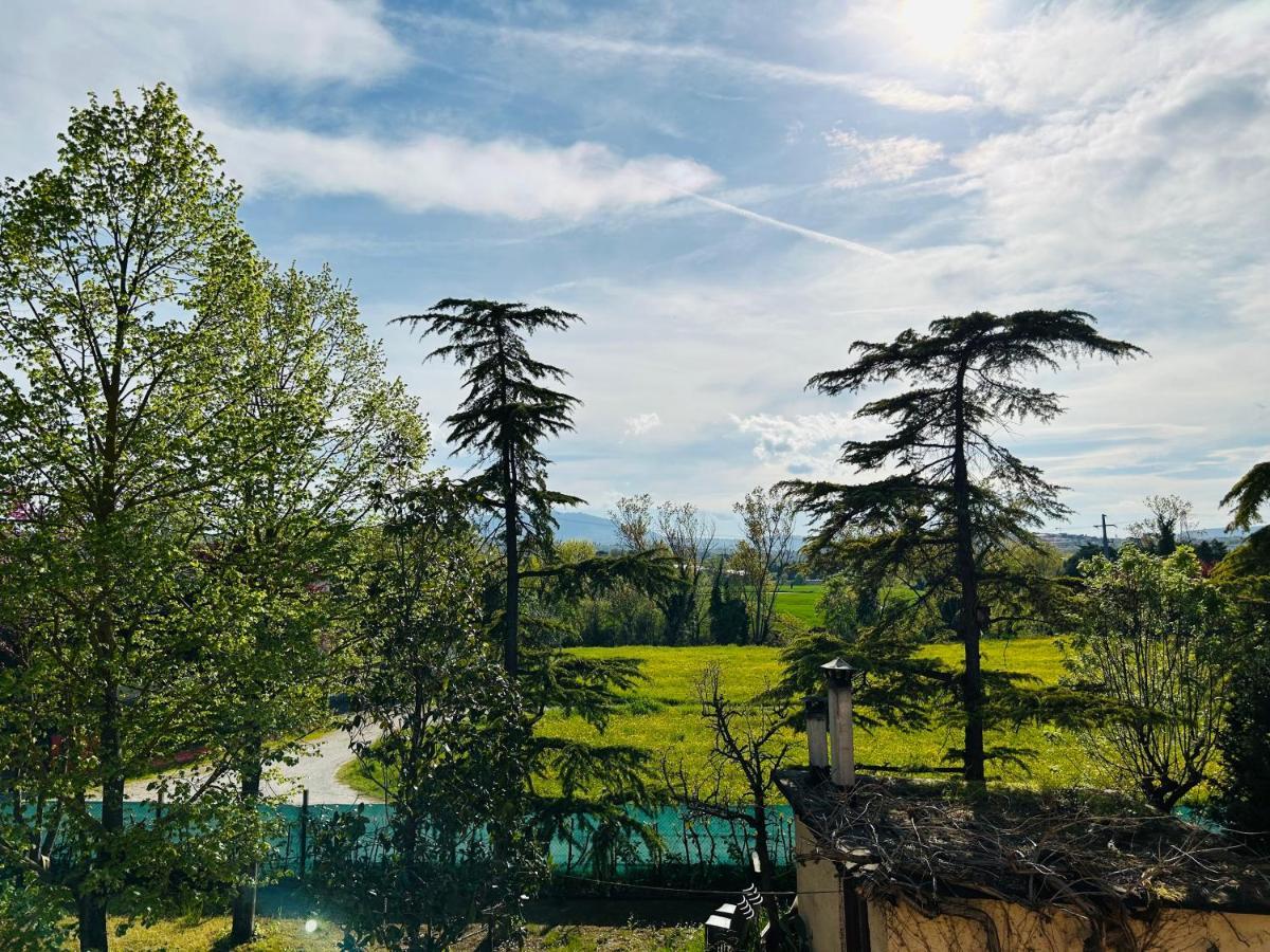 Bed & Breakfast La Rondinella チェラソーロ エクステリア 写真