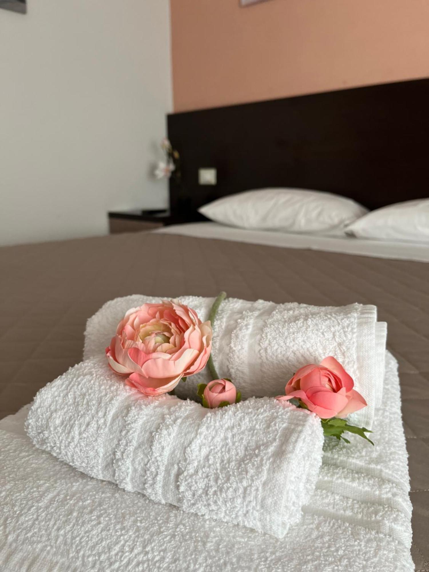 Bed & Breakfast La Rondinella チェラソーロ エクステリア 写真